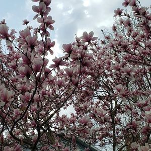 Meet your Posher, Margaret